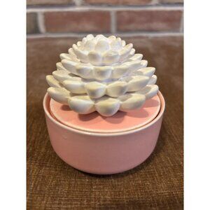 Ceramic Succulent Oil Diffuser With Pink Base & Rope Wick